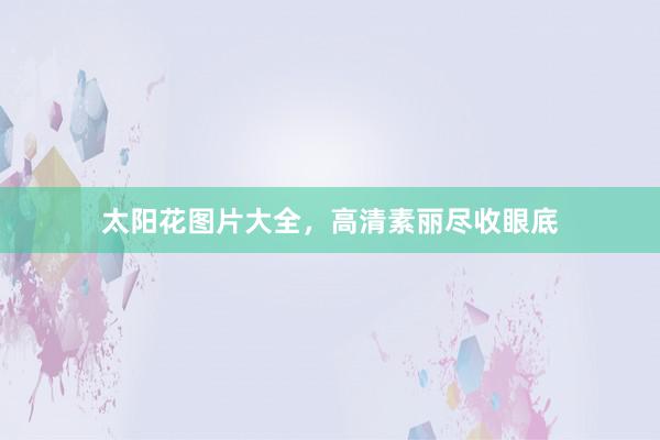 太阳花图片大全，高清素丽尽收眼底