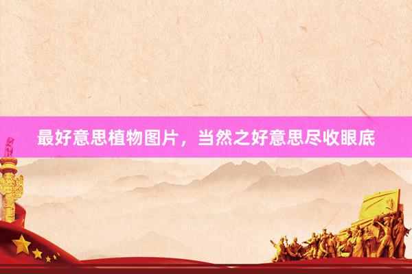 最好意思植物图片，当然之好意思尽收眼底