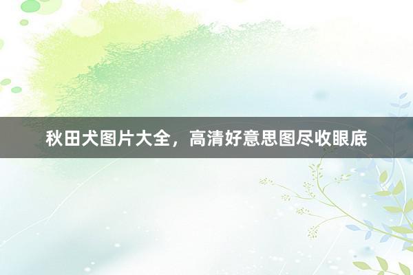 秋田犬图片大全，高清好意思图尽收眼底