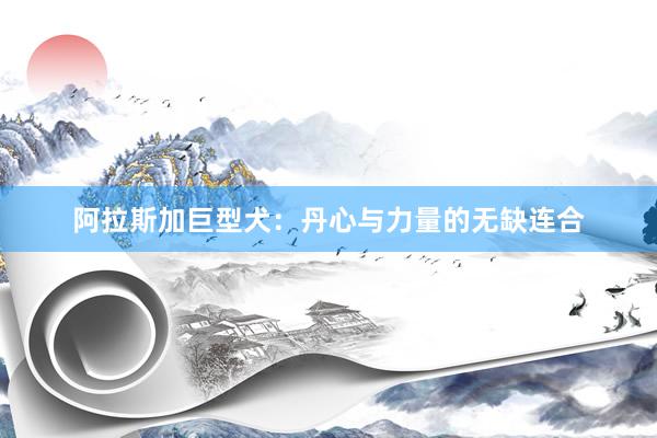 阿拉斯加巨型犬：丹心与力量的无缺连合