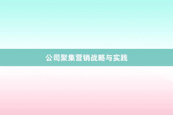 公司聚集营销战略与实践